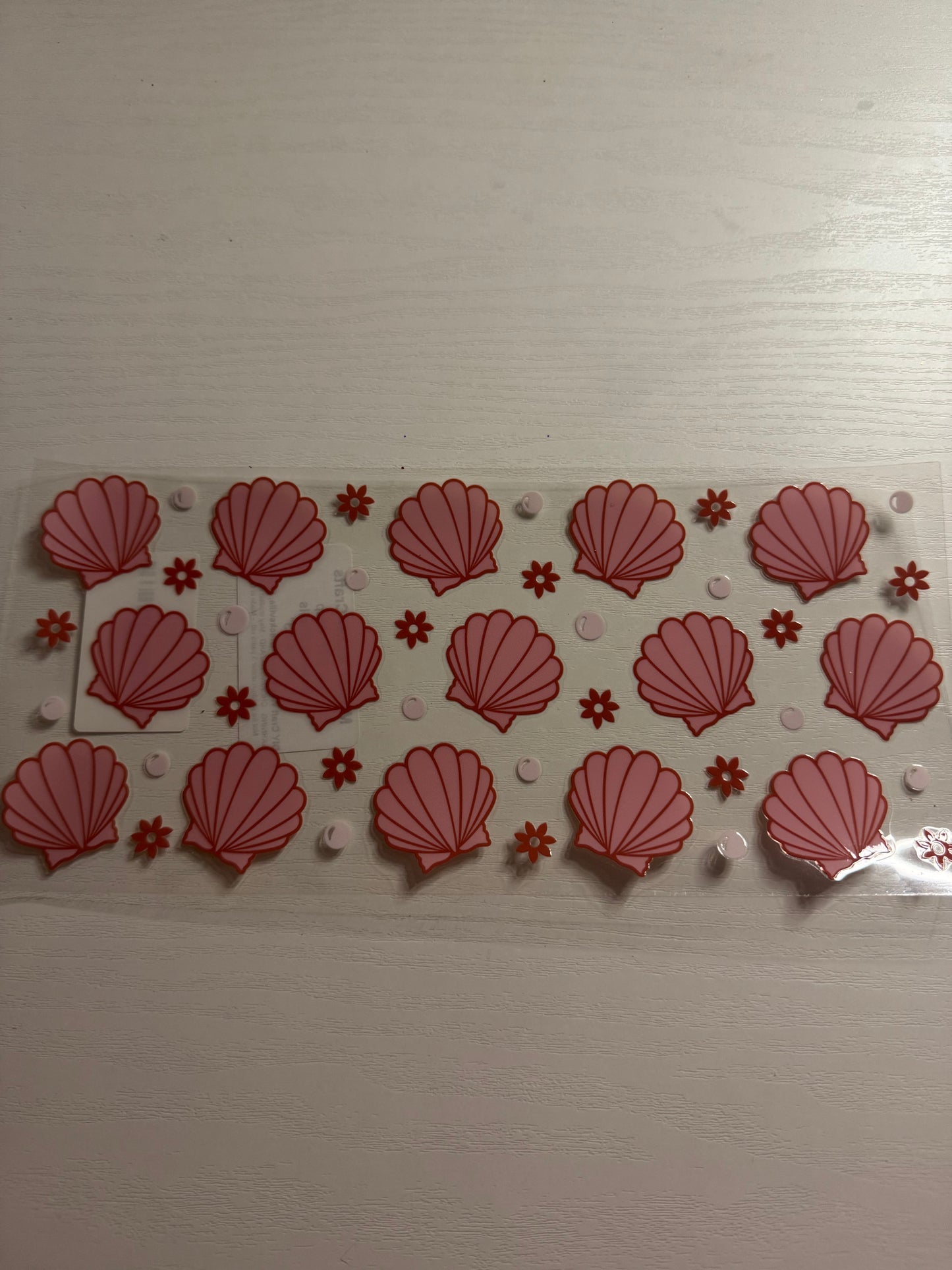 Seashell #1
