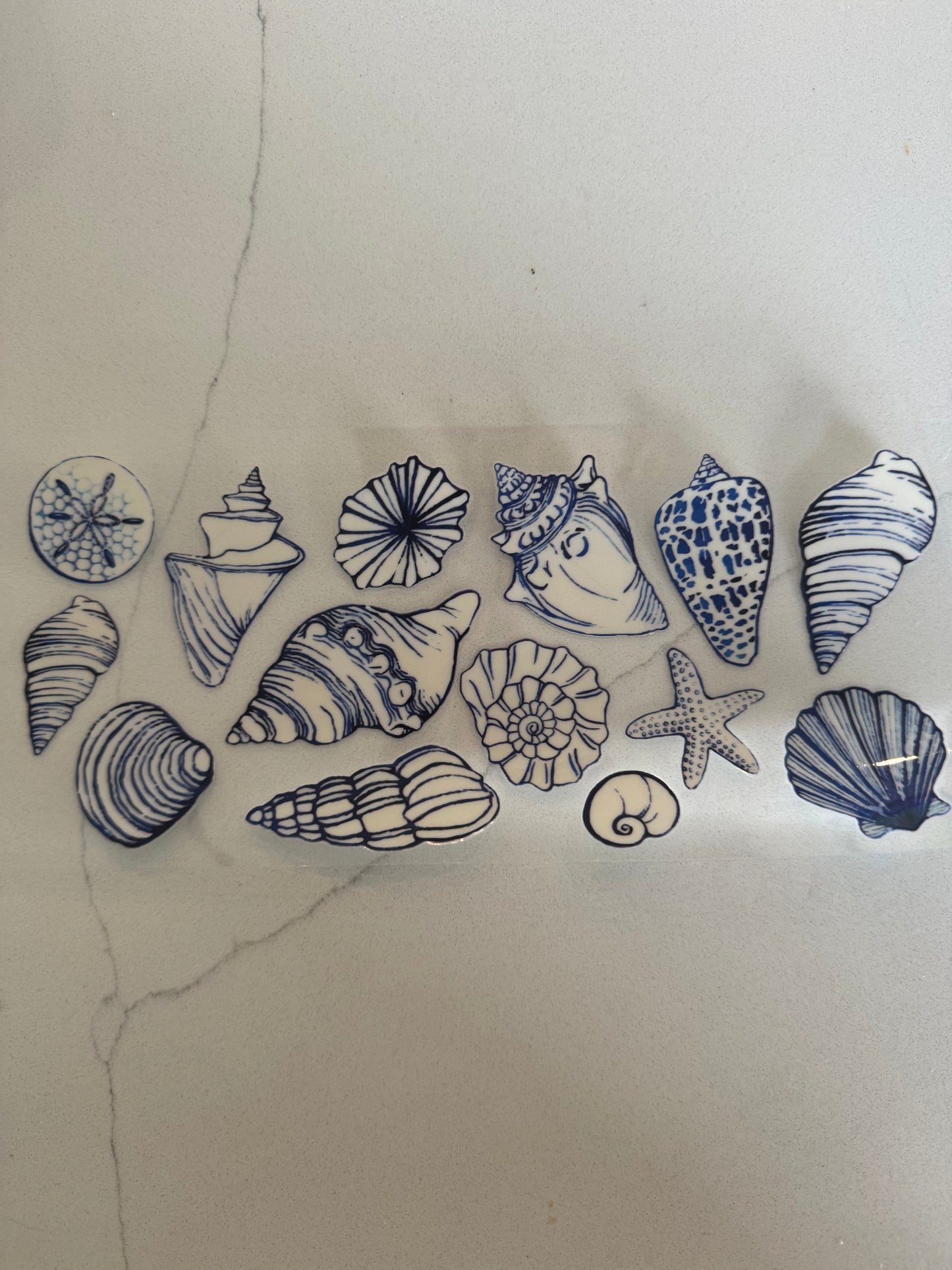 Seashells