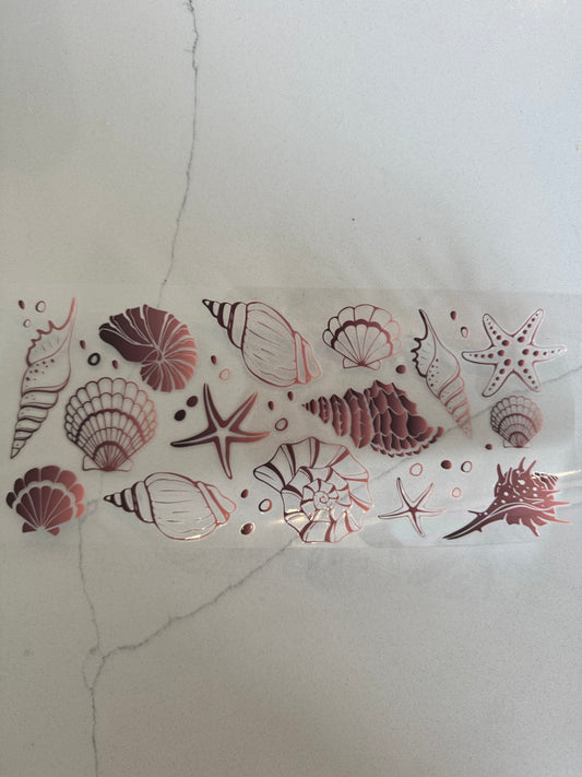 Seashells- Brown
