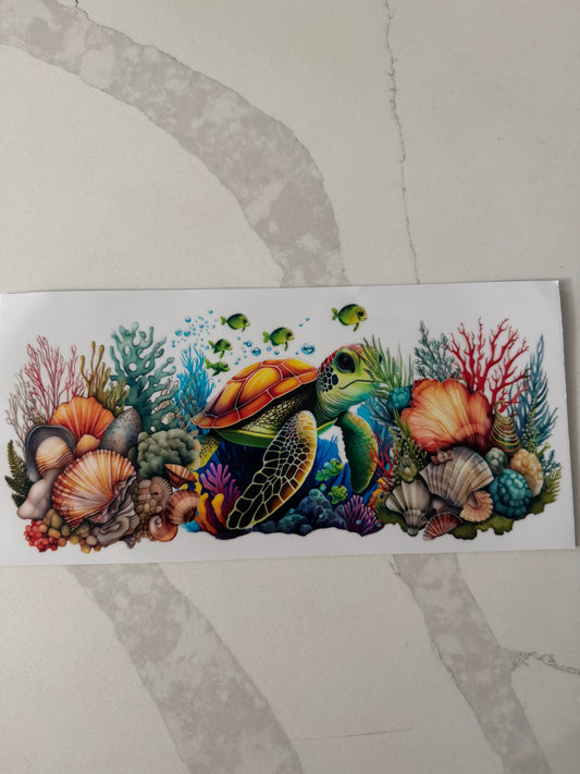 Turtle #7