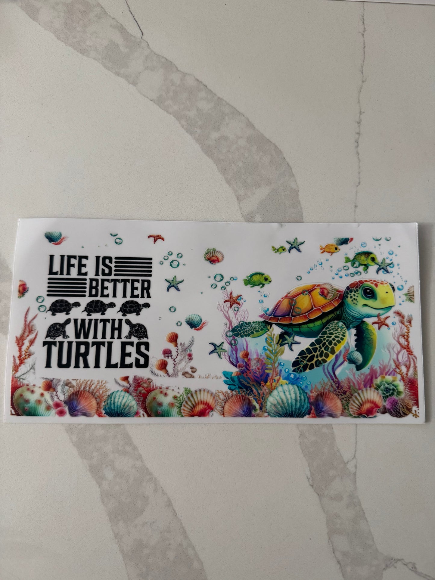 Turtle #9