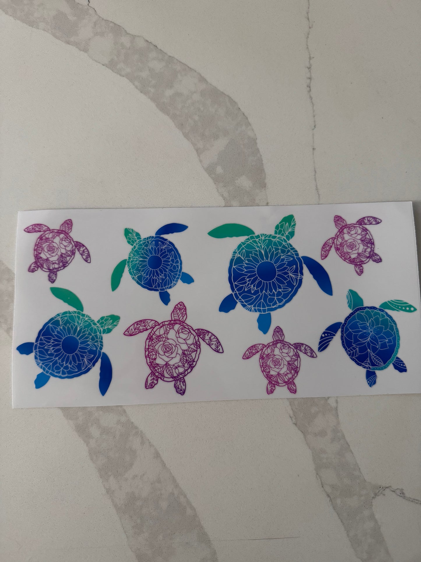 Turtle #6
