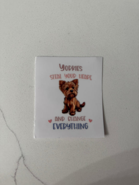 Dog #13