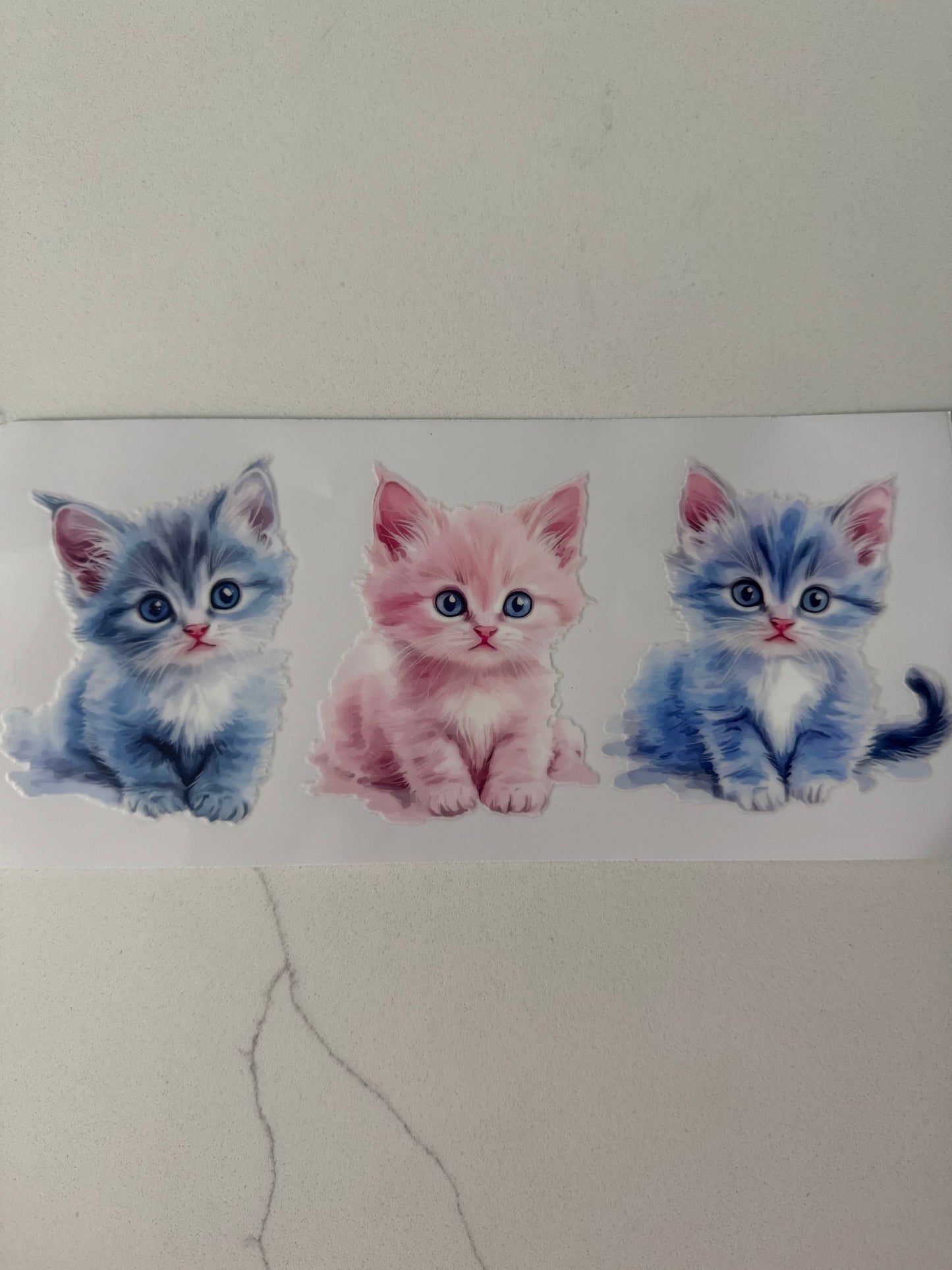 Kitties